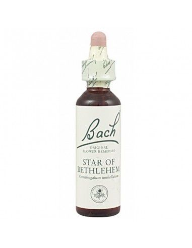 FLOR BACH star of bethlehem 20 ml Nº29
