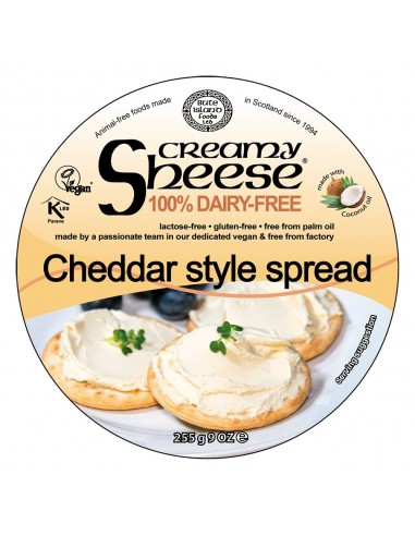 Crema queso untar cheddar CHEESE 255 gr